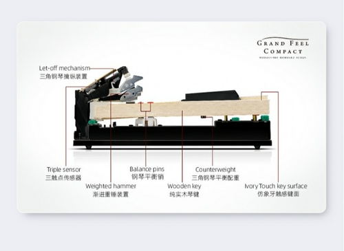 卡瓦依电钢琴先进技术大盘点 为你还原媲美钢琴的音色和手感